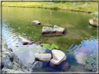 foto Lago di Montalon